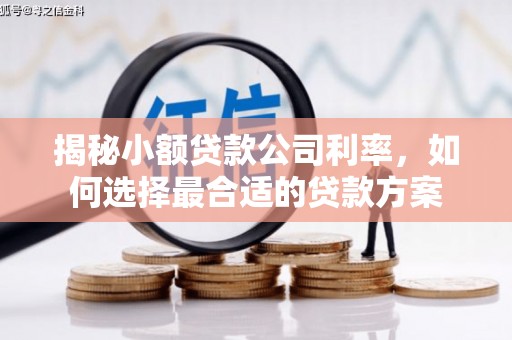 宜章揭秘小额贷款公司利率，如何选择最合适的贷款方案