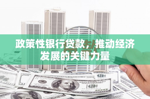 宜章政策性银行贷款，推动经济发展的关键力量