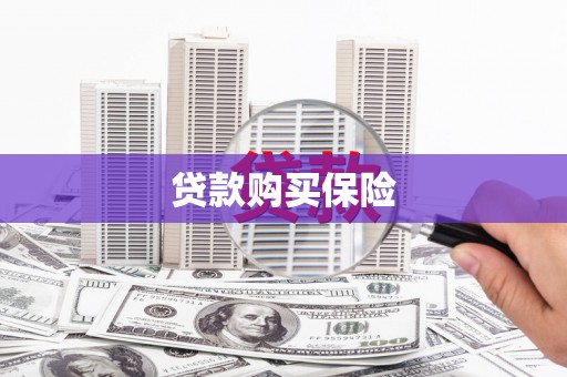 宜章贷款购买保险