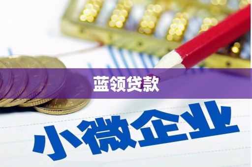 宜章蓝领贷款