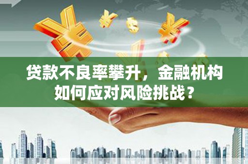宜章贷款不良率攀升，金融机构如何应对风险挑战？