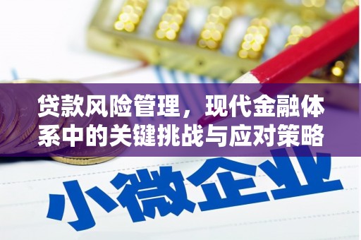 宜章贷款风险管理，现代金融体系中的关键挑战与应对策略