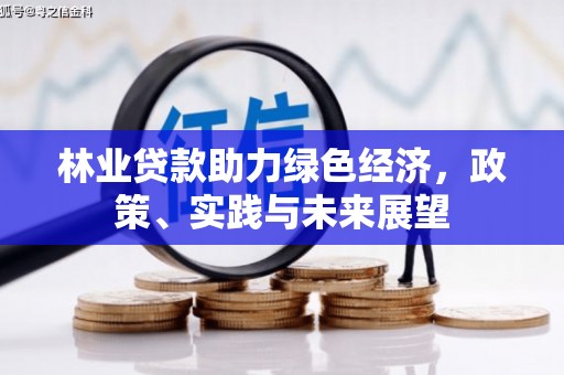 宜章林业贷款助力绿色经济，政策、实践与未来展望
