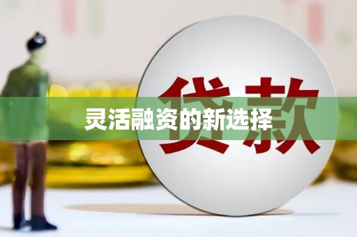 宜章灵活融资的新选择