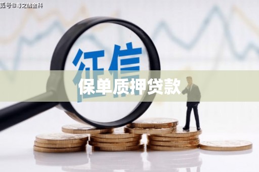 宜章保单质押贷款