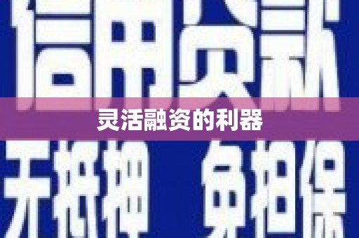宜章灵活融资的利器