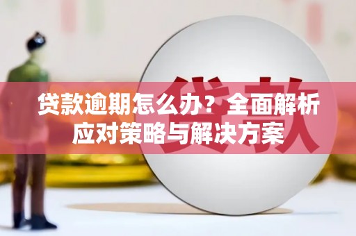 宜章贷款逾期怎么办？全面解析应对策略与解决方案