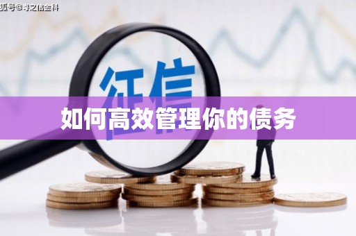 宜章如何高效管理你的债务
