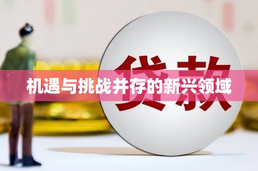 宜章机遇与挑战并存的新兴领域